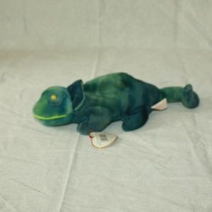 Rainbow the Chameleon